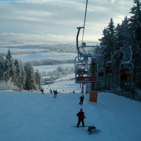 Harusák 4
